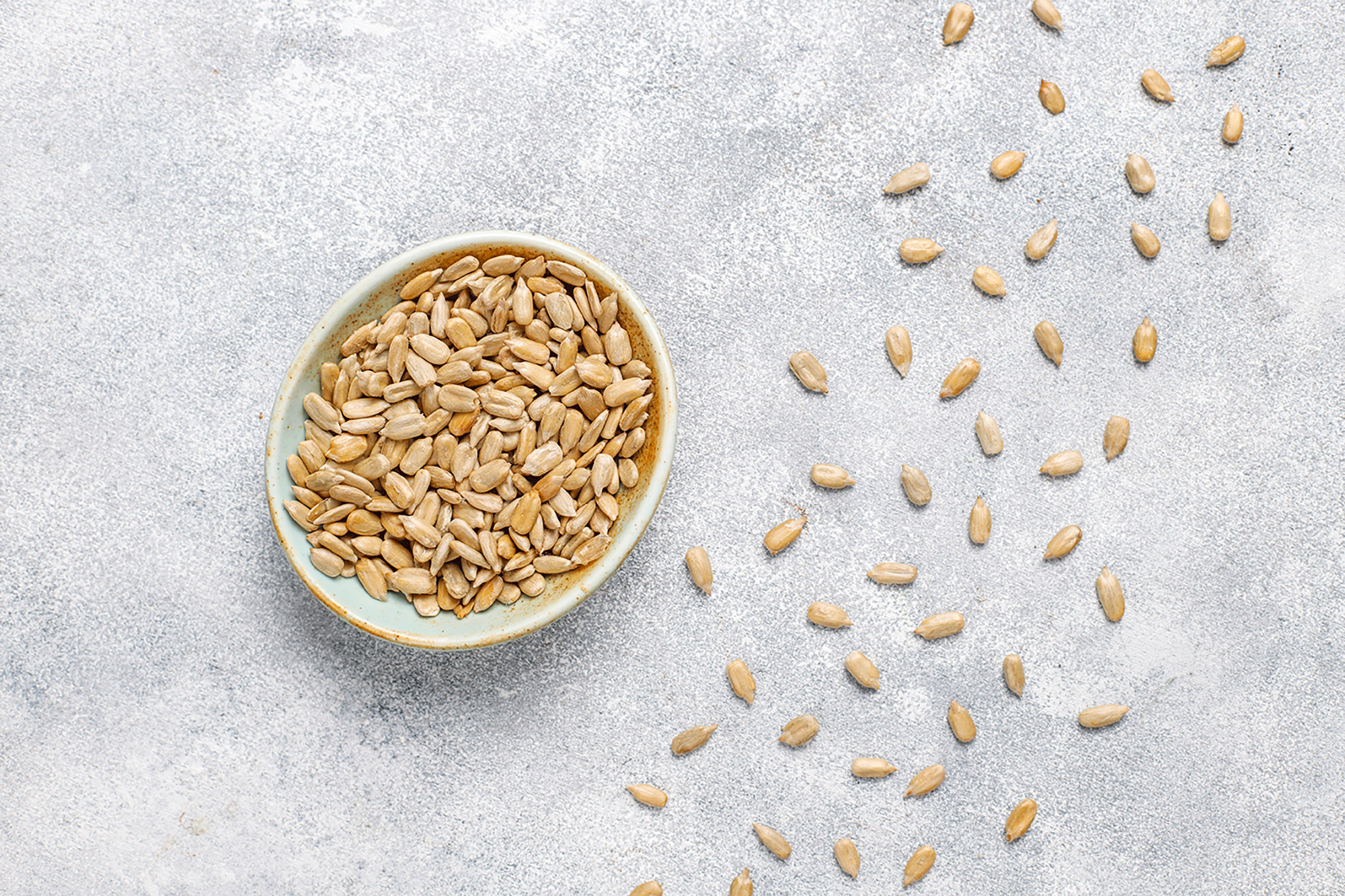graines de tournesol pour recettes de crackers sains au déshydrateur aux graines germées